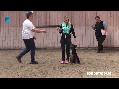 Qualification - Valentina Balli + Mind The Dog Lycan/Border Collie - Italy