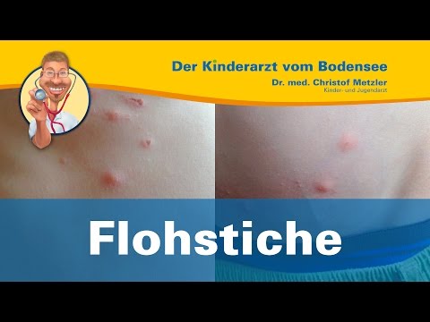 Die Trichophytie und das Ekzem Die Behandlung der Schuppenflechte psorinochel