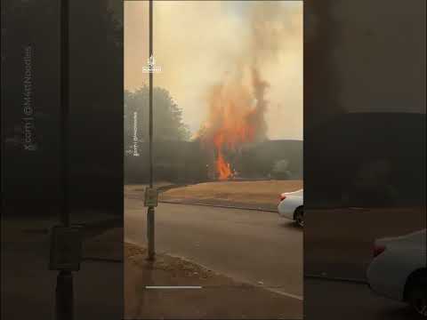Multiple houses ablaze as wildfire sweeps into UK town