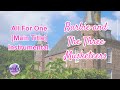 All For One Main Title Instrumental Barbie And The Three Musketeers TLC