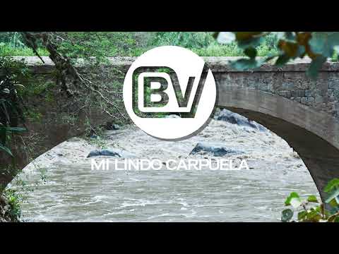 MI LINDO CARPUELA 🎶🎤