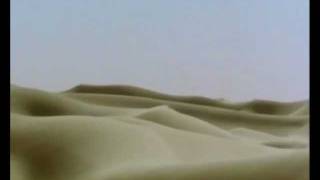 Brian Eno & David Byrne - The Carrier