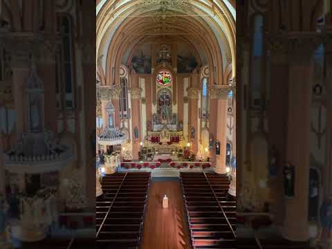 Pastorale canonica sopra Gaudete in Domino