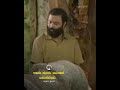 Nanu Nandhu Anthane Badukabeku