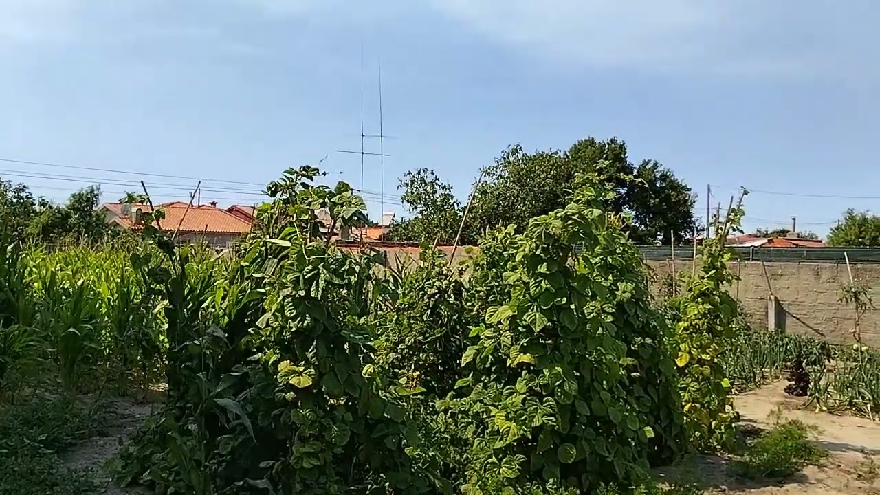 Vídeo do imóvel