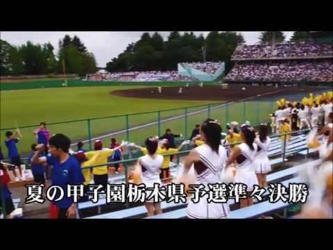 経営学科 2016夏の甲子園栃木大会準々決勝　作新高校対文星芸大高校