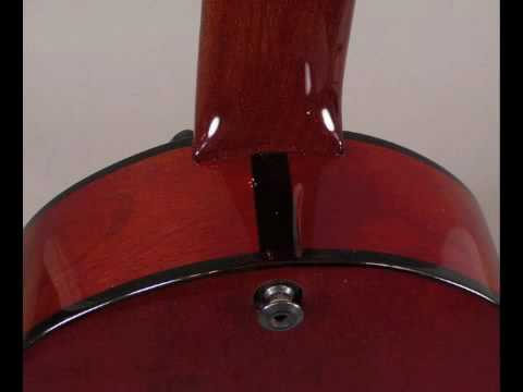 New Veillette Guitars Gryphon - Octave 12-string Acoustic Guitar