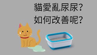 [情報/知識] 貓亂尿尿怎麼辦-如何改善貓砂盆