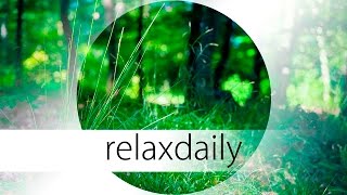 Slow and Peaceful Music - calm, reflective - N°046 (4K)