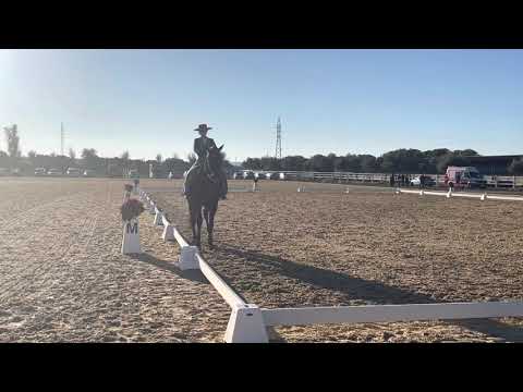 Nicole e Hábil  - Kur Sevilha