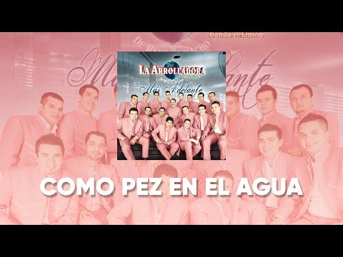La Arrolladora Banda El Limón De René Camacho - Como Pez En El Agua (Lyric Video)
