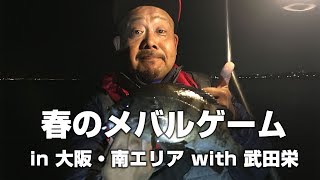 春のメバルゲームin大阪・南エリア with武田栄（MEBARU FISHING in Osaka Japan）