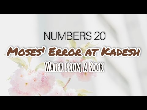 NUMBERS 20 NKJV: MOSES' ERROR AT KADESH (Audio Bible)