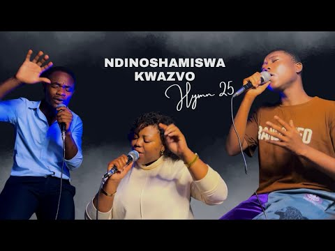 NDINOSHAMISWA KWAZVO || hymn 25 