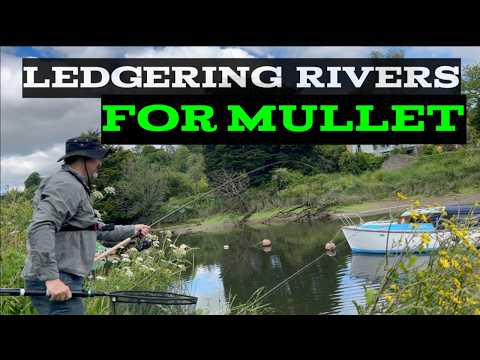 Mullet Fishing - Ledgering Rivers for Mullet