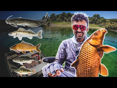 Fange diese 5 Fischarten 🔥 24h Angel Challenge