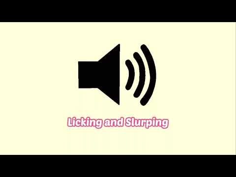 Licking and Slurping Eating Sound Effect