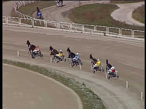 Trotto 16/11/2018 - prova di qualifica