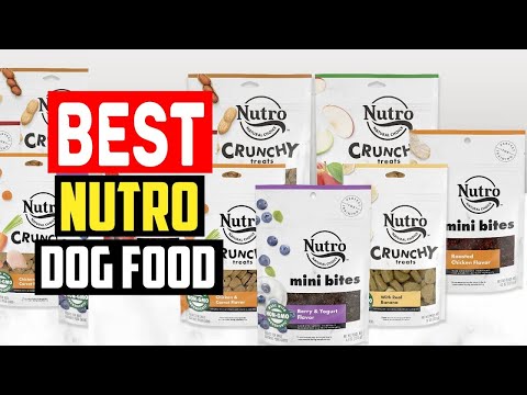 Healthy Dogs, Happy Life! 🐶 Nutro Natural Choice Dog Food Review