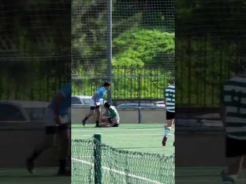 rugby sporting x belenenses #rugby #shorts #sporting #belenenses