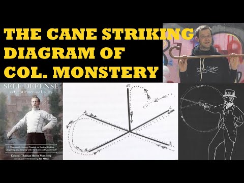 Col. Monstery cane fighting - basic striking - for self defense