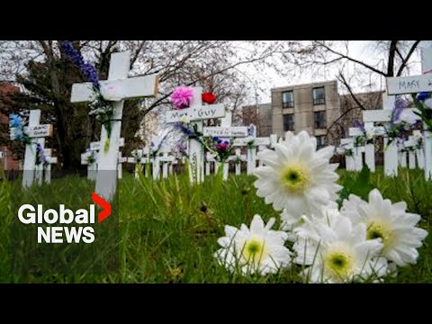 COVID-19 misinformation led to at least 2,800 deaths: study