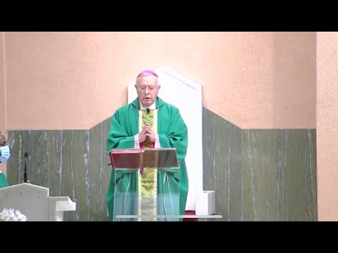 7:00 PM Mass - 13-11-2020 (English)