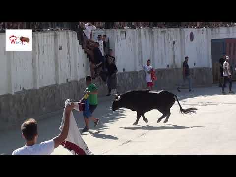ENCIERRO DE BOROX 2019