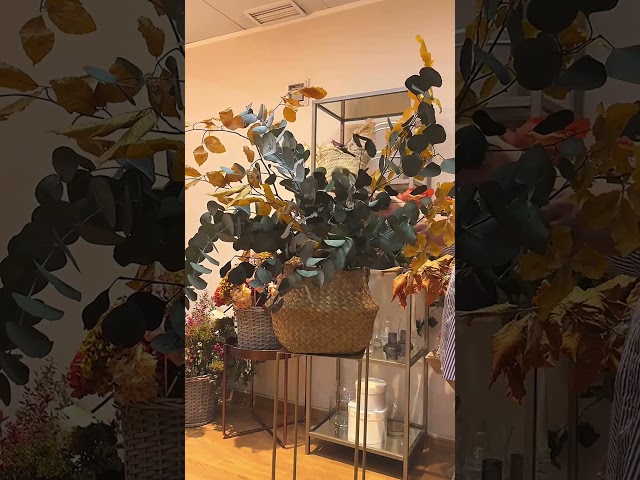 Vídeo relacionado con Rama de algodón artificial con 10 cabezas para decoración del hogar y eventos, tallos flexibles que permiten un fácil arreglo, diseñado para un uso floral duradero y seguro para alergias