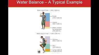 Chapter 8 Lecture