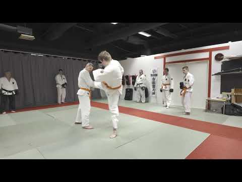 Oulu Ju-Jutsu Practice 5