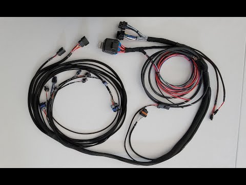 Hcr Innovation Main Engine Harness for Holley Efi