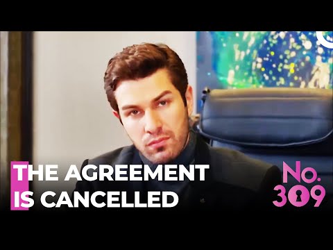 I Would Give Up Everything for Lale - No. 309