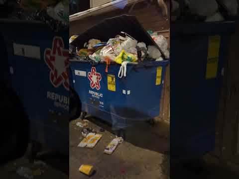Chicago garbage problem. did you see that big rat?🐭 #garbage #rats