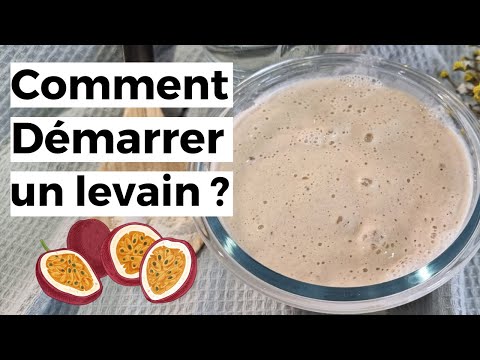 Boulangerie Pas à Pas N°9: Démarrer un levain aux fruits de la passion. CAP boulanger