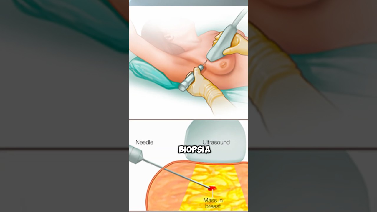 Viviana Ribon Navarro-20