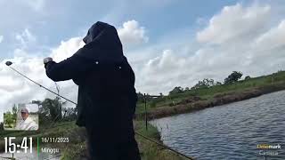 Download lagu opened the 2nd se x an perdana pool Rusnadi kpum Ujung Marelan Sunday 23 Nov 2025 mp3