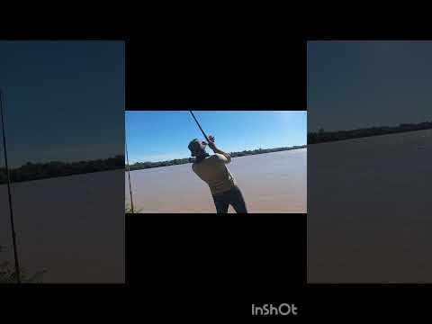 🇦🇷Pesqueros El Tata Zarate Bs as #pesca #lineadepesca #fishing #pescasub #carpfishing