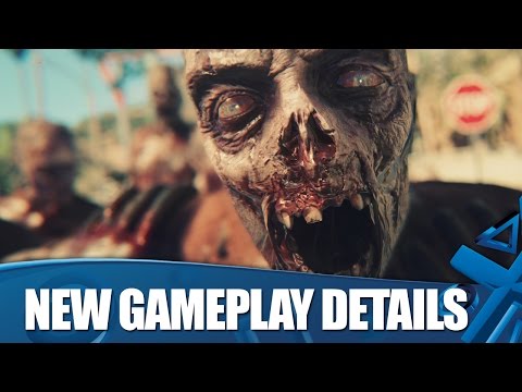 Dead Island 2 - How does the co-op work?