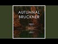 Bruckner: Symphony No. 0 in D minor - 1869 Version - IV. Finale. Moderato - Allegro vivace