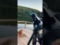 Align your finder to your telescope - pro tip!
