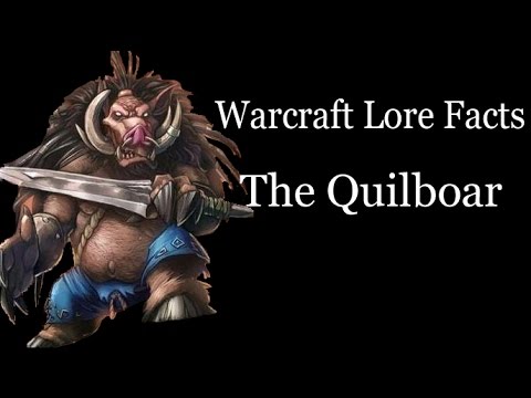 Warcraft Lore Facts - The Quilboar