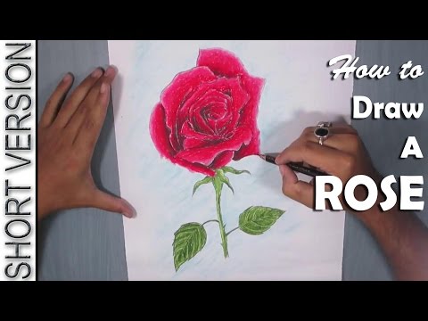Rose Drawing | How to Draw a Red Rose with Oil Pastel SHORT VERSION