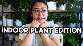Unpopular Opinions on Indoor Plants