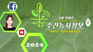 [ 주간농사정보 ] 8월 1째주 (2024. 08. 05. ~ 08. 11.)