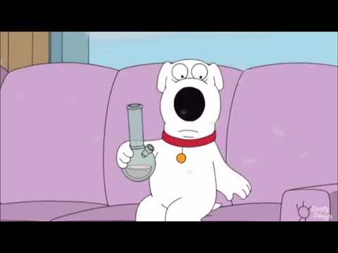 download lagu mp3 mp4 Family Guy Weed, download mp3 Family Guy Weed free downloadn, video klip Family Guy Weed