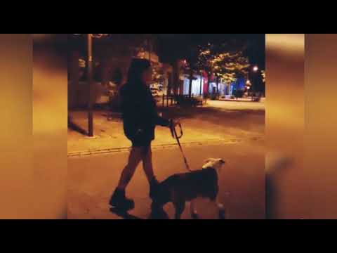 Area - Irgendwie  verbunden