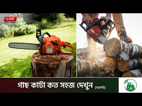 Katta nipellar videolarini tomosha qiling