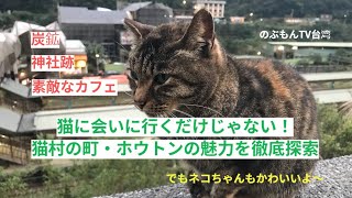 台湾さんぽ34〜猫村だけじゃない！猴硐(ほうとん)の魅力を探る