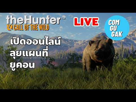 เปิดออนไลน์ ออกล่าในยูคอน วัลเล่ (LIVE) theHunter: Call of the Wild™